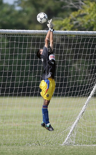 莫俱乐部 莫俱乐部