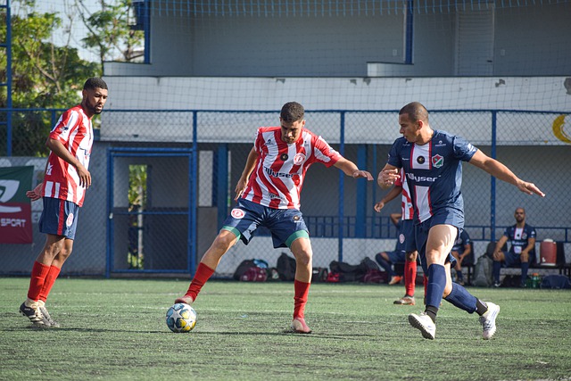 不仅是光明 不仅是光明