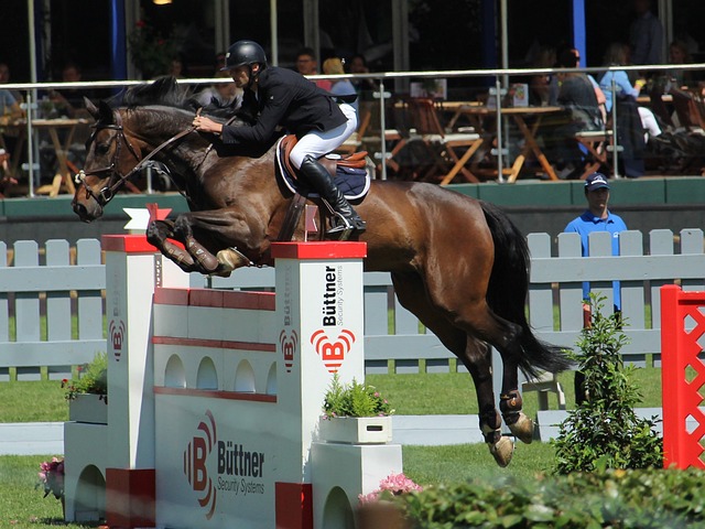 尤其是奥尔 尤其是奥尔