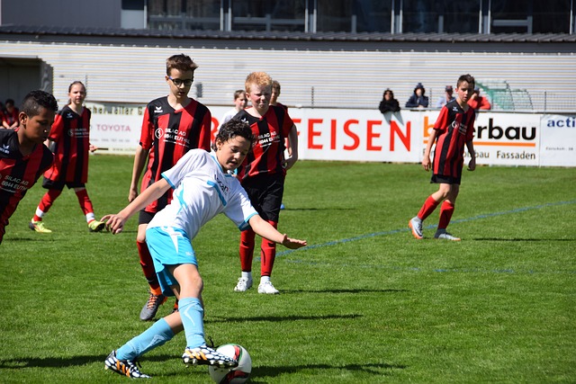 显然也是全 显然也是全